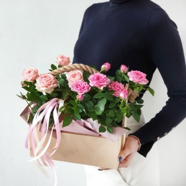 Ящичек с горшечными розами и лентами