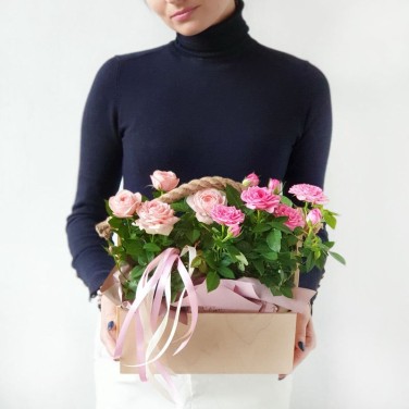 Ящичек с горшечными розами и лентами