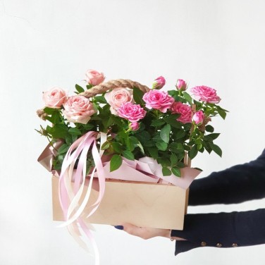 Ящичек с горшечными розами и лентами