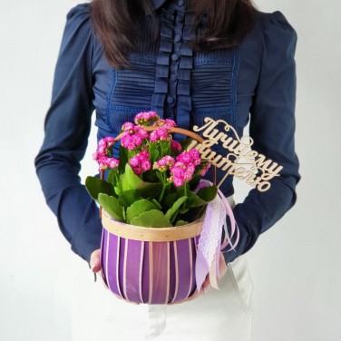 Композиция с каланхое для Учителя