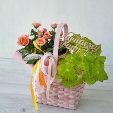 Очаровательная корзина с розой, бегонией и вставкой Учителю