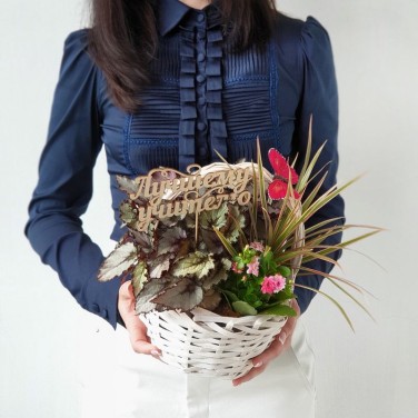 Корзина из горшечных растений с бабочкой Учителю