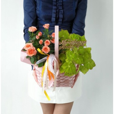 Очаровательная корзина с розой, бегонией и вставкой Учителю