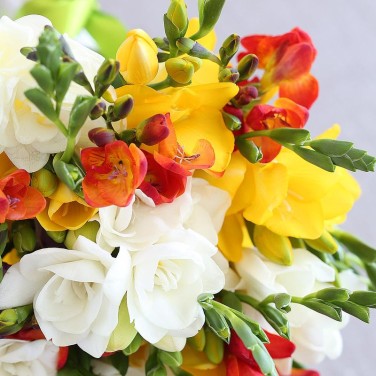 Моно букет из фрезий Аристократка