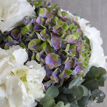 Букет из белых и голубых гортензий
