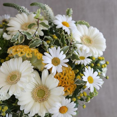 Авторский букет из мини гербер, ромашек, вероники Сдержанное благородство