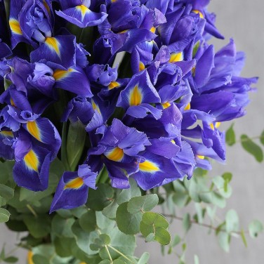 Свадебный букет из ирисов и эвкалипта Синий Сапфир