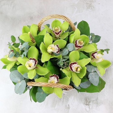 Корзина из орхидей и эвкалипта