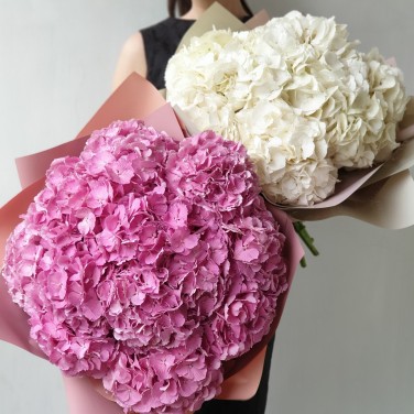 Шикарный букет из белой гортензии