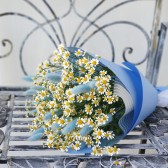 Перед доставкой