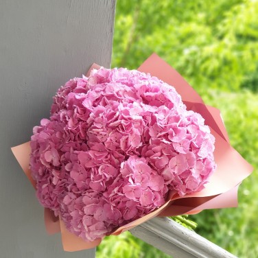 Шикарный букет из розовой гортензии