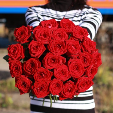 Красные розы под лентой