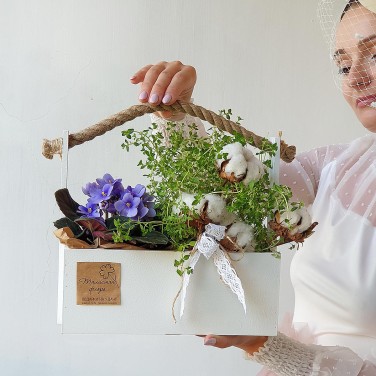 Композиция в деревянном ящике из фиалки, хлопка и тимьяна