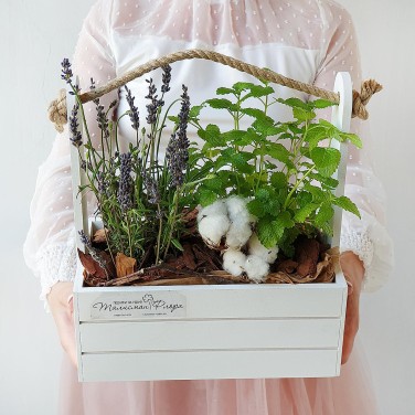 Композиция в деревянном ящике из лаванды, хлопка и пряных трав