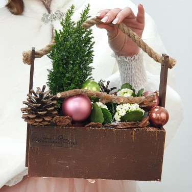 Новогодний ящик с каланхое, кипарисом и шариками