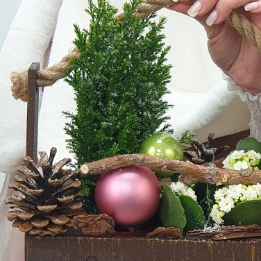 Новогодний ящик с каланхое, кипарисом и шариками