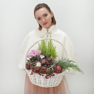 Новогодняя композиция в корзине из кипариса, цикламена и шариков