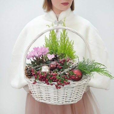 Новогодняя композиция в корзине из кипариса, цикламена и шариков