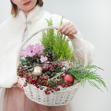 Новогодняя композиция в корзине из кипариса, цикламена и шариков