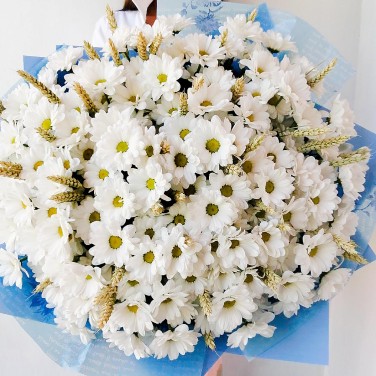 Летний букет из ромашковой хризантемы и пшеницы