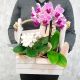 Композиция из орхидеи фаленопсиса и нежной фиалки