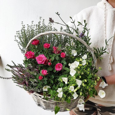 Большая корзина из роз, эрики и лаванды