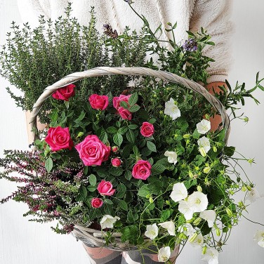 Большая корзина из роз, эрики и лаванды
