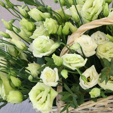 Моно-корзина с белым лизиантусом