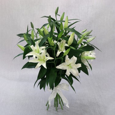Букет из 9 белых восточных лилий