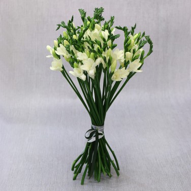 35 белых фрезий