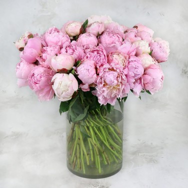 51 розовый пион