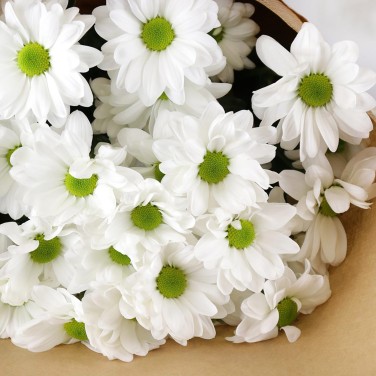 5 белых хризантем в крафте