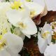 Интересный букет с орхидеями фаленопсис