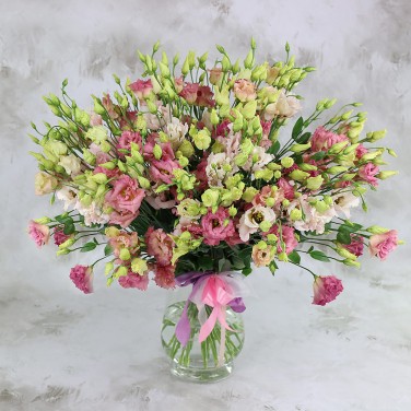 51 розовая эустома