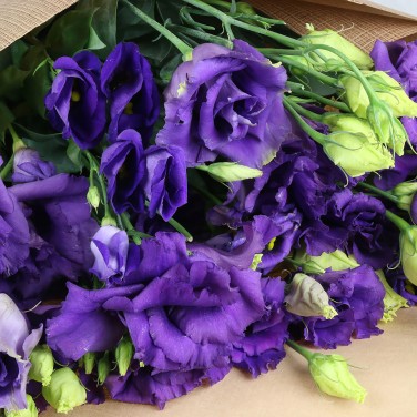 Синяя эустома в крафте