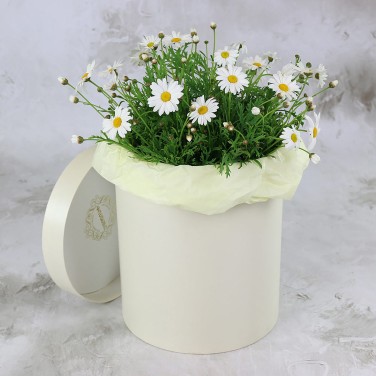 Шляпная коробка с 15 ромашками