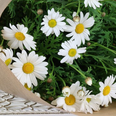 15 ромашек в крафте