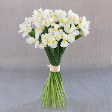 Белые ирисы 35 шт