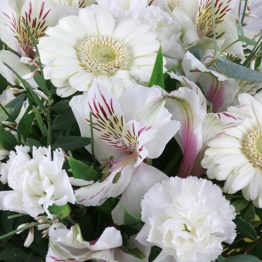 Букет из белых гермини с альстромериями