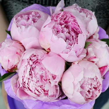 Шляпная коробка из 7 розовых пионов