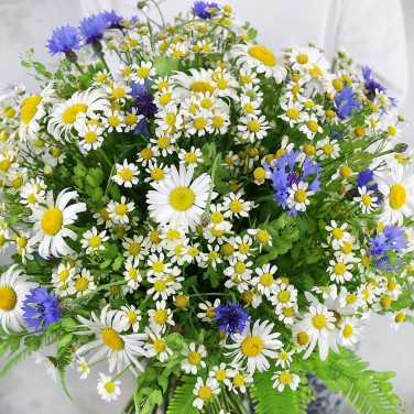 Летний букет из ромашек и васильков