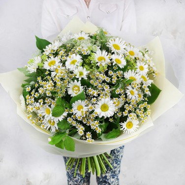 Полевой букет из крупных и мелких ромашек