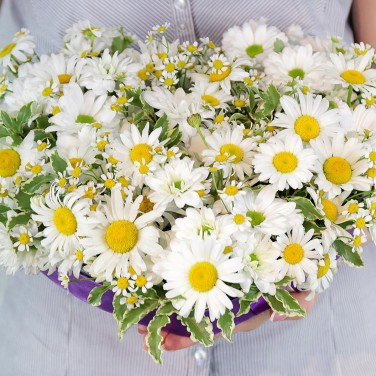 Сердце с ромашками Летний роман