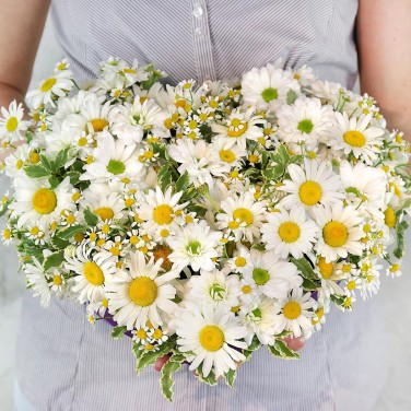 Сердце с ромашками Летний роман