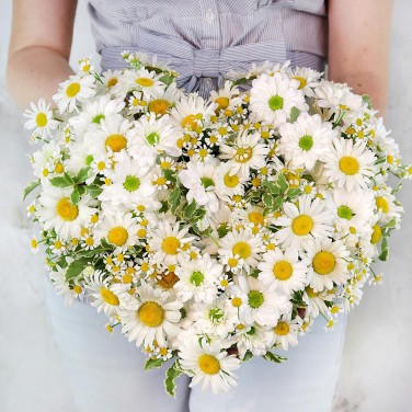 Сердце с ромашками Летний роман