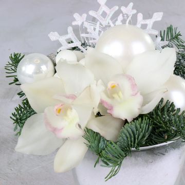 Зимняя композиция с орхидеями