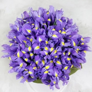 51 ирис в шляпной коробке