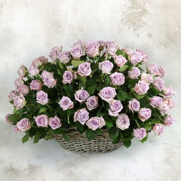 Шикарная корзина с фиолетовыми розами