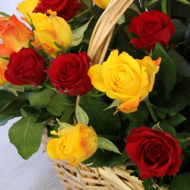 51 желто-красная роза в корзине
