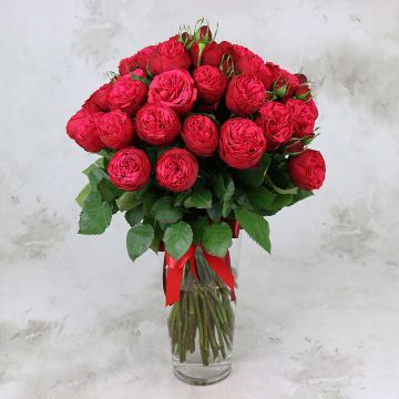 Красные пионовидные розы